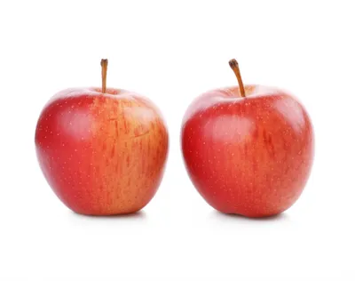 Illustration doubleton - Image 1