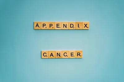 Illustration appendages - Image 1