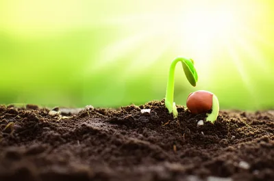 Illustration potentiality - Image 1