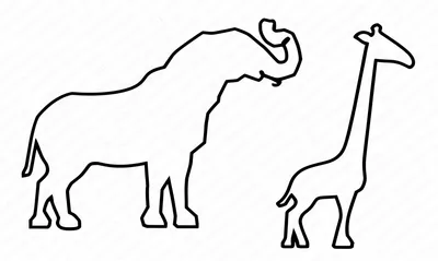 Illustration difference - Image 1