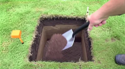 Illustration backfill - Image 1