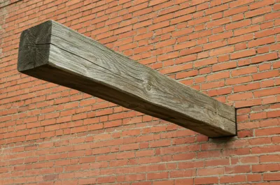 Illustration tails - Image 1