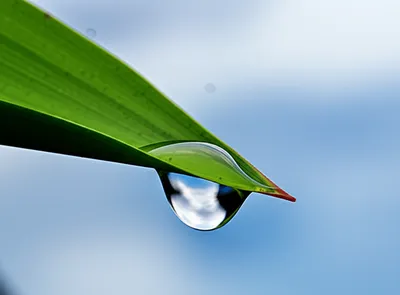 Illustration hanged - Image 1