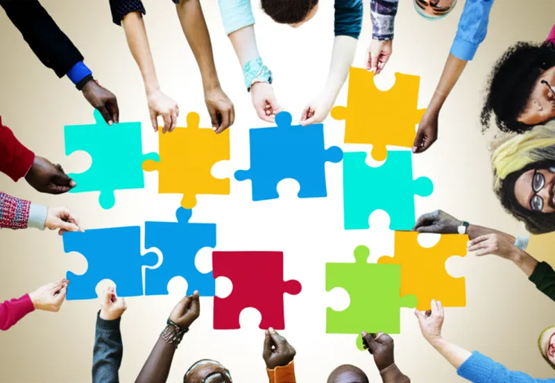 单词"collects"的视觉插图 - 收集，聚集
