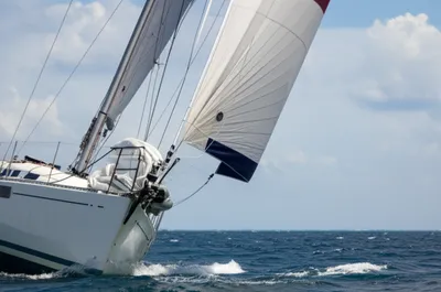 Illustration balances - Image 1