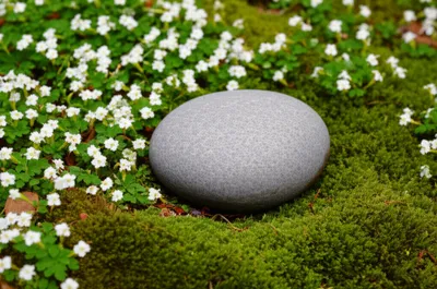 Illustration paradise - Image 1