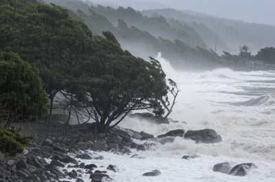 Illustration lash - Image 1