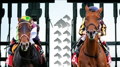 Illustration lengths - Image 1