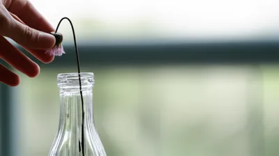 Illustration staying - Image 1