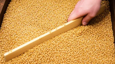 Illustration strike - Image 1