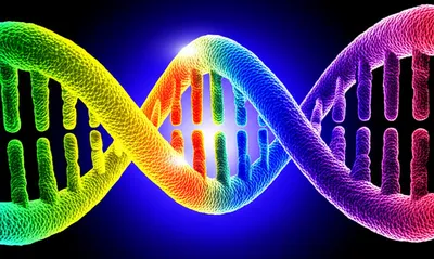 Illustration spliced - Image 1