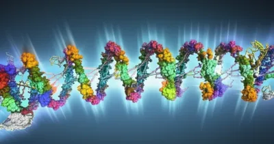 Illustration chromosome