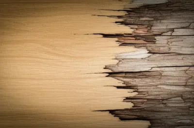 Illustration roughened - Image 1