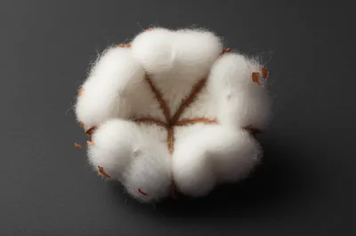 Illustration lofts - Image 1