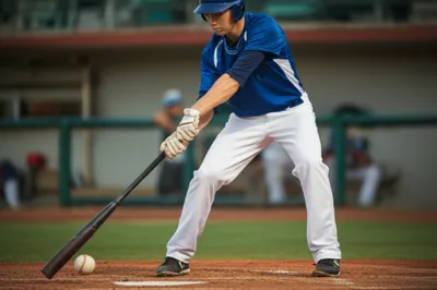 Illustration bunting - Image 1