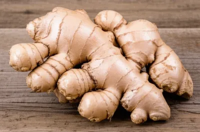 Illustration knobs - Image 1