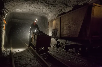 Illustration puts - Image 1