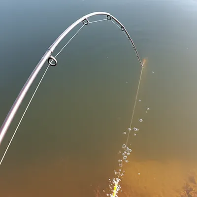 Illustration ledger - Image 1