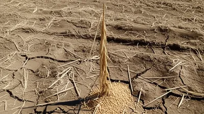 Illustration residuals