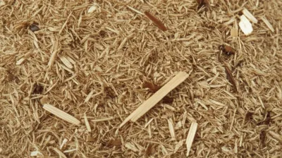 Illustration shive - Image 1