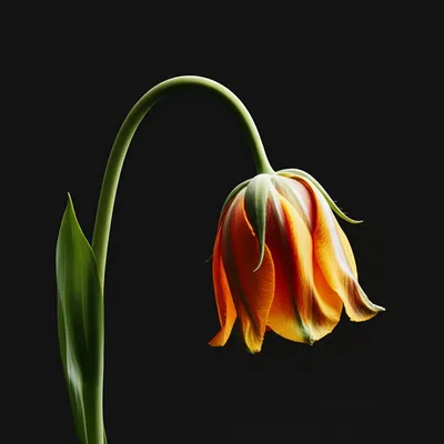 Illustration reduce - Image 1