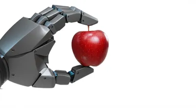 Illustration grabs - Image 1