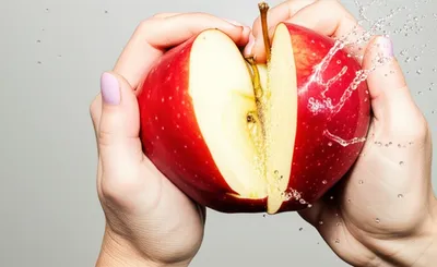 Illustration tore - Image 1