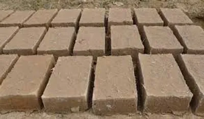 Illustration adobe - Image 2