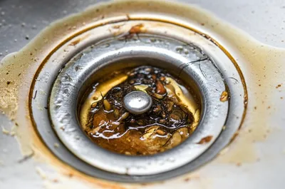 Illustration clog - Image 1