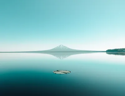 Illustration still - Image 1