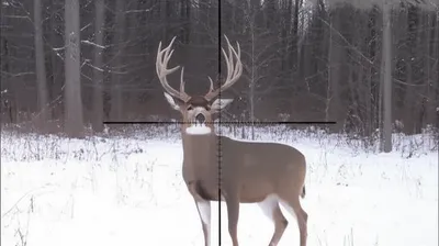 Illustration warrantable - Image 1