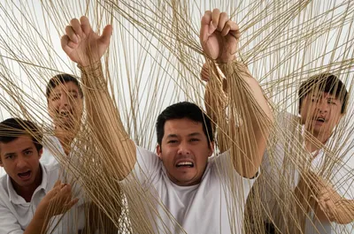 Illustration binding - Image 1