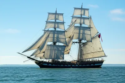 Illustration royals - Image 1