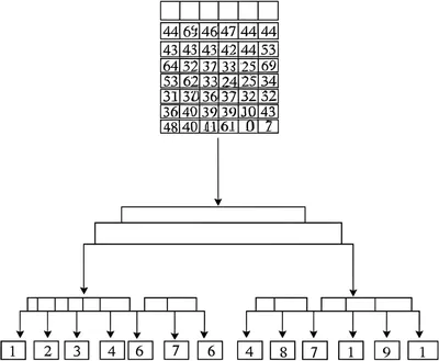 Illustration varieties - Image 1