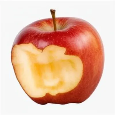 Illustration bitten - Image 1