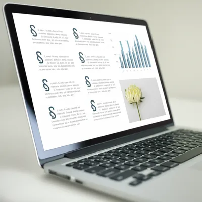 Illustration page - Image 1