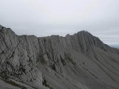 Illustration fell - Image 1