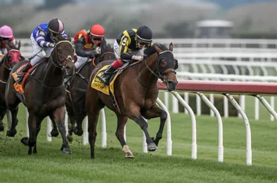 Illustration lugged - Image 1