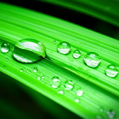 Illustration impermeable - Image 1