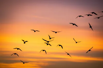 Illustration waffle - Image 1