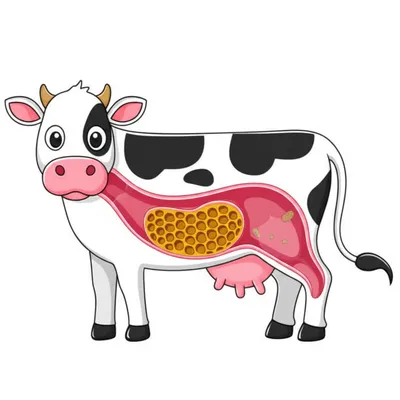 Illustration bunnet - Image 1