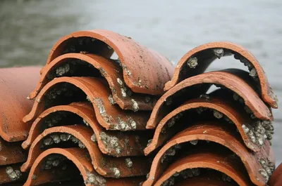 Illustration ruches - Image 1