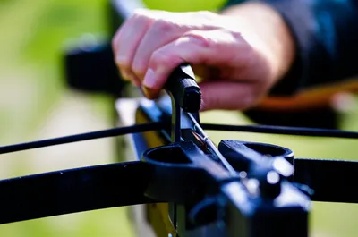 Illustration cocks - Image 1