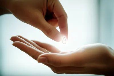 Hình ảnh minh họa consign - Ảnh 1