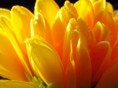 Illustration stimulated - Image 1