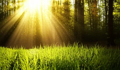 Illustration sunbeam - Image 1