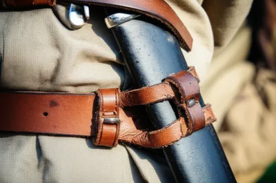 Illustration frogs - Image 1