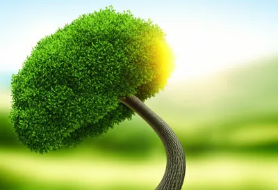 Illustration bending - Image 1