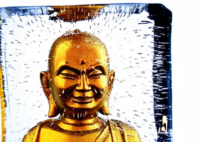 Illustration immutable - Image 1