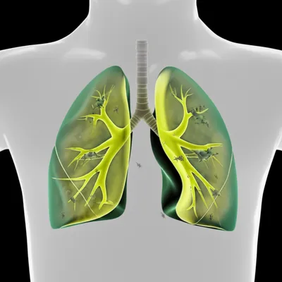 Illustration rattles - Image 1